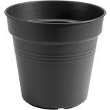 green basics Anzuchttopf "lebhaft schwarz"